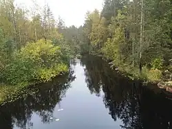 Вид против течения