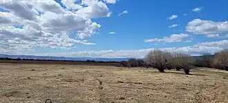 Урочище Мухинские болота, месторасположение стоянки