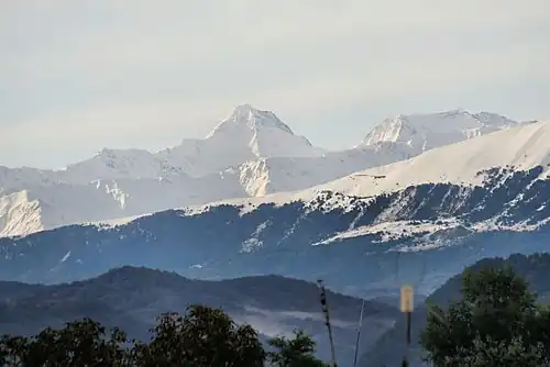 Урус-Мартановский заказник