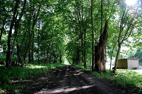 Усадебный парк в 2017 году