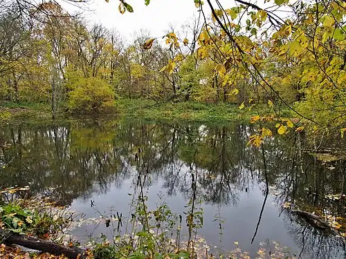 Парковый пруд