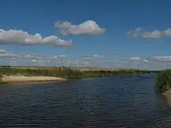 Устье реки Берда