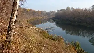 Утро у села Репная Вершина