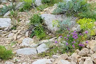 Средне-Волжский комплексный биосферный резерват20 июня 2015