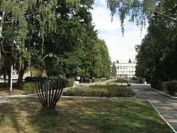 В центре Барышевки