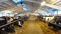 Ферма в аг. Волосовичи