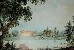 Вид Приютино