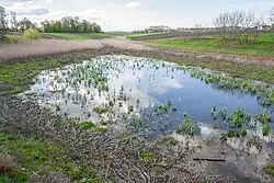 Исток реки Горный Тикич