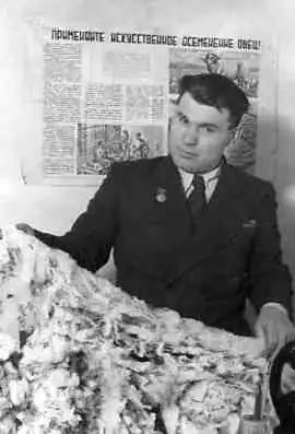 Ф.Я.Вовченко просматривает шерсть перед отправкой её на анализ (1951 год).