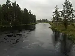 Вид по течению