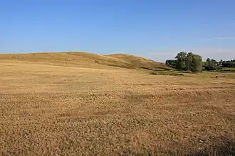 Холмы на северной окраине Васильевки