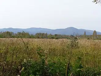 Хребет Вандан (848 м) в Хабаровском крае, вид со стороны посёлка Литовко.