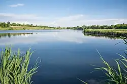 Ставок на речке Синичка