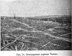 Чагино, после смерча 29 июня 1904 г.