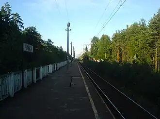 Чайка. Вид в сторону ст. Большая Ижора