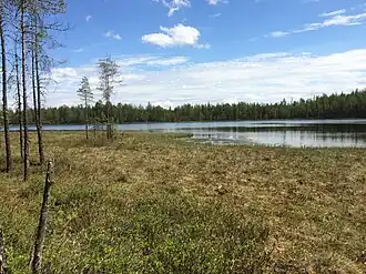 Залив на юго-западе озера