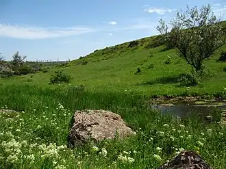 Балка Северная Червоная