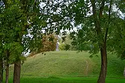 Современный вид