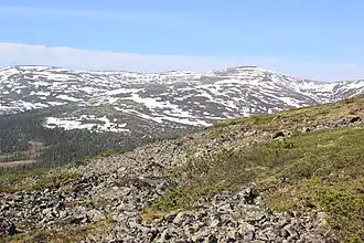 Чунатундра весной