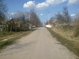 Центральная улица