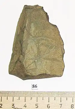 Одна из "чуринг" найденных на Фёдоровском поселении в Костромской области в 2008 г.