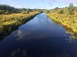 Вид по течению