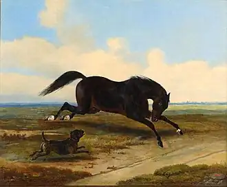 Конь и собака