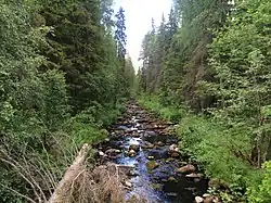 Вид против течения