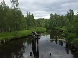 Вид против течения