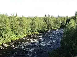 Шовна в августе