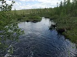 Вид с автомобильного моста