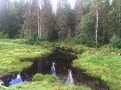 Вид по течению