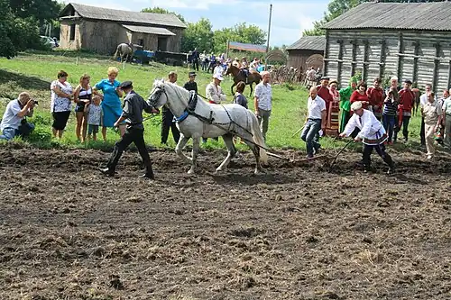 Фестиваль «Я — русский крестьянин». Конкурс «Пахота за лошадью». Белгородская область