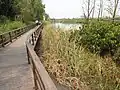 Nansha Wetland Park