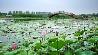 Озеро Байяндянь