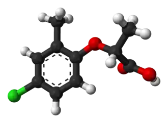 Изображение молекулярной модели