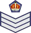 Flight Sergeant