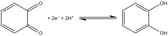 Electrochemical interconversion of 1,2-benzoquinone and catechol