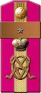 Погон воинского звания(1907-1909 гг.)«Зауряд-прапорщик,на должности фельдфебеля»