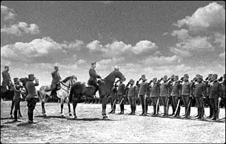 Царь Николай II проводит смотр 1-й сербской добровольческой дивизии под Одессой. Май 1916 г.