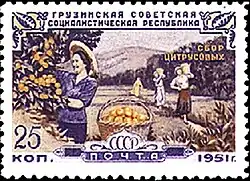 Почтовая марка СССР, 1951 год. 30 лет Грузинской ССР. Сбор цитрусовых