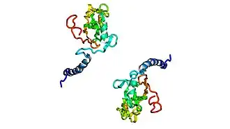 Белки Риске в Цит. b6f, вид сверху.