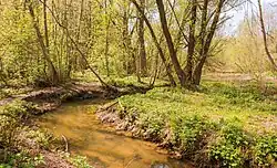 Язвенка перед впадением в Царицынский пруд