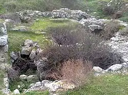 Храм на сводах