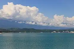 Черноморское побережье в Пицунде