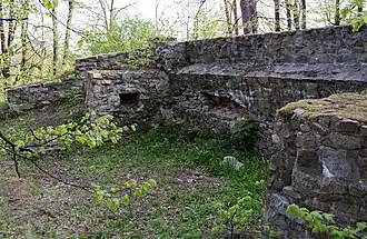 Руины замка Варта