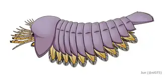 Реконструкция