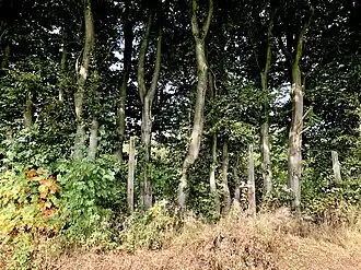 Нуждающийся в охране биотопв округе Леннеп (Ремшайд)