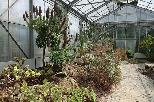 Разнообразие