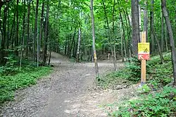 Участок лыжной трассы в овраге Горкинского леса (июль 2019)